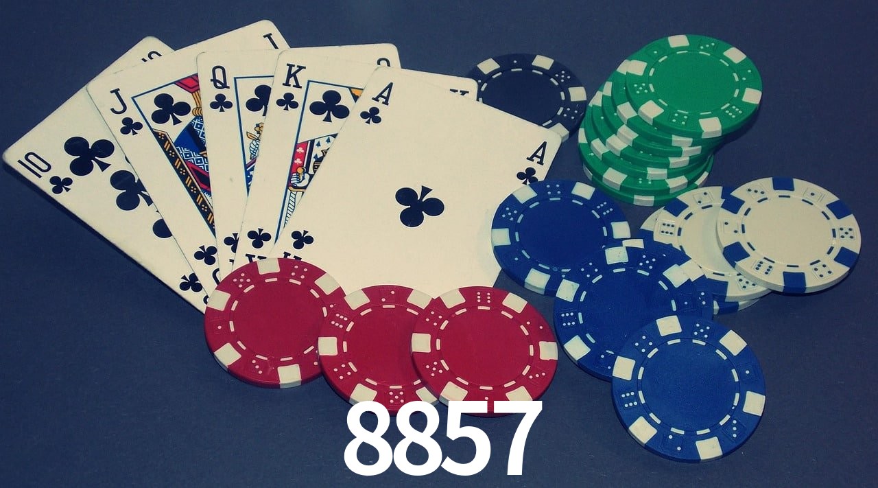 Experiência VIP 8857