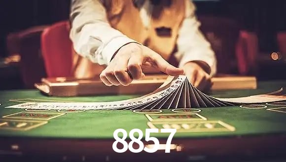 VIP Casino 8857