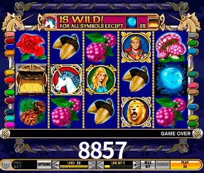 Roulette Table 8857