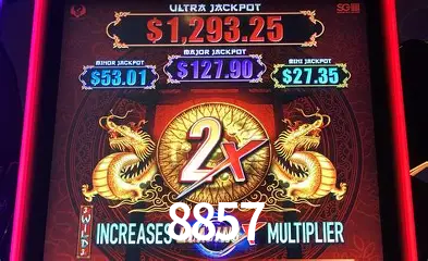 VIP Casino 8857